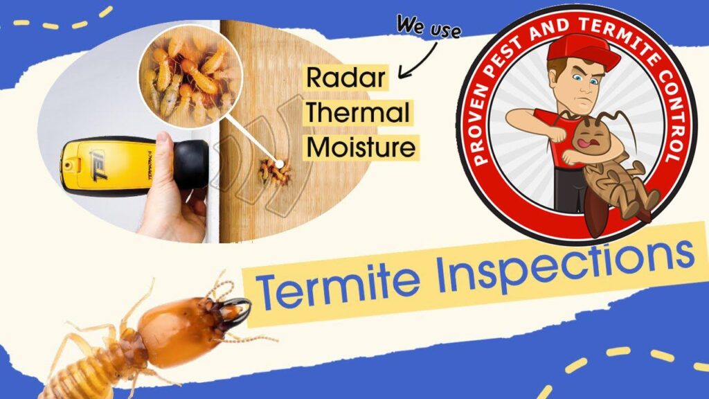 Proven Pest Control Sydney Termite Inspections