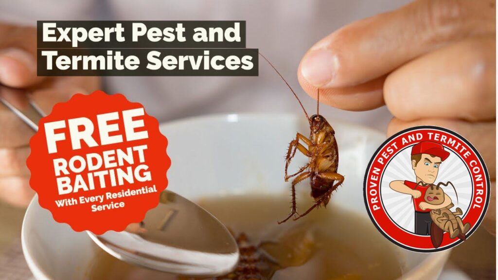 Proven Pest Control Sydney Treatments